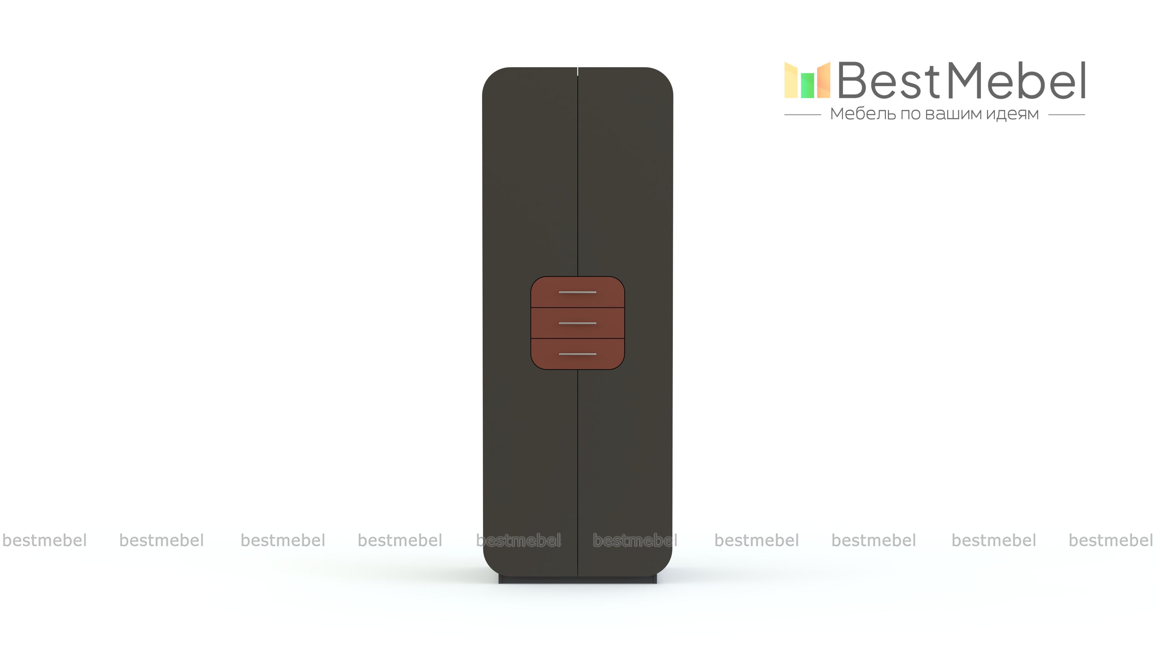 Распашной шкаф Модерно 4.1 BMS - Фото