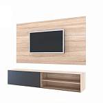 Панель для ТВ Фелиция 13 BMS - Фото 1