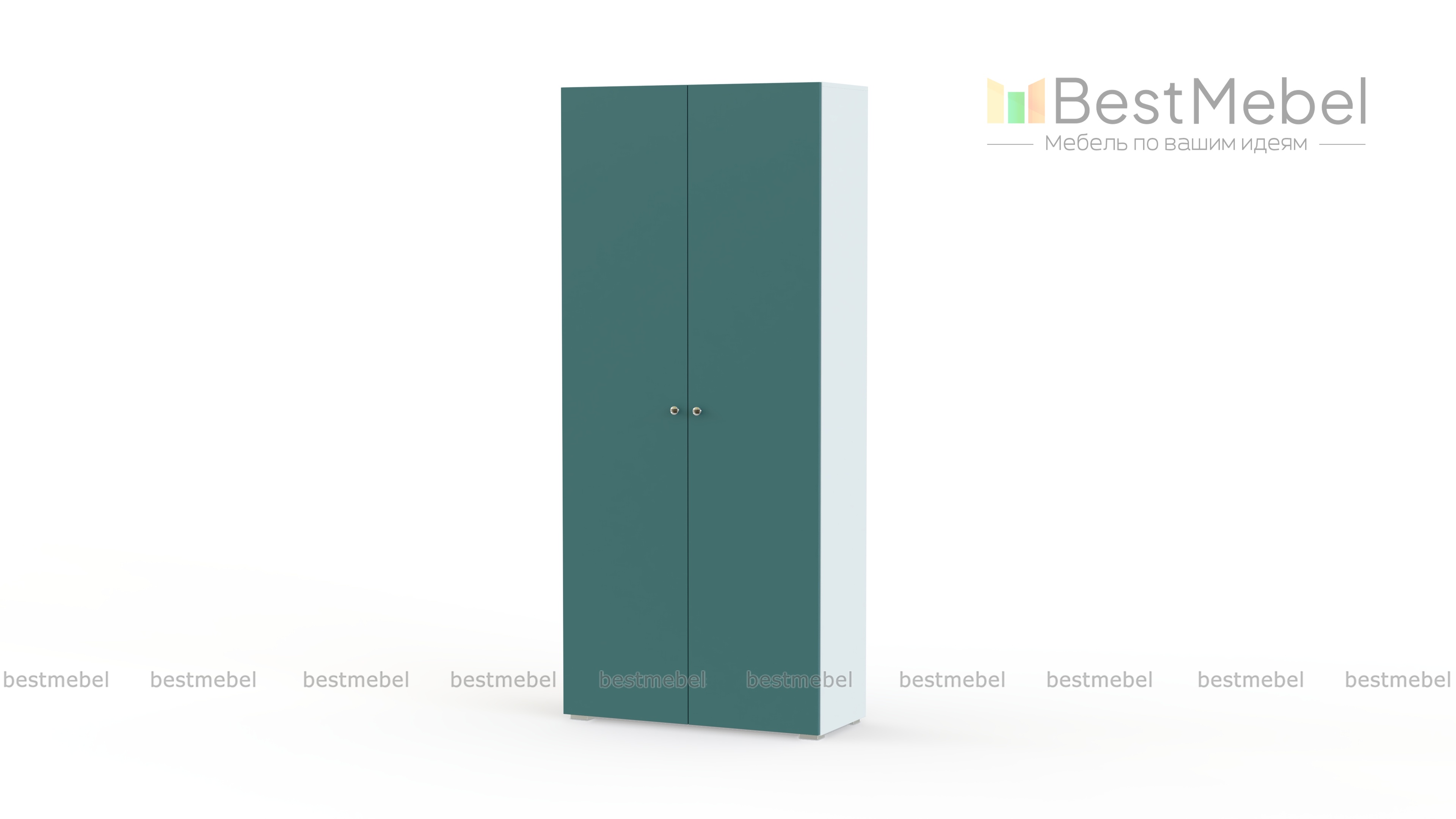 Шкаф распашной Класс 2-2 BMS