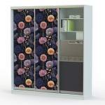 Шкаф-купе Григ 22 BMS - Фото 1