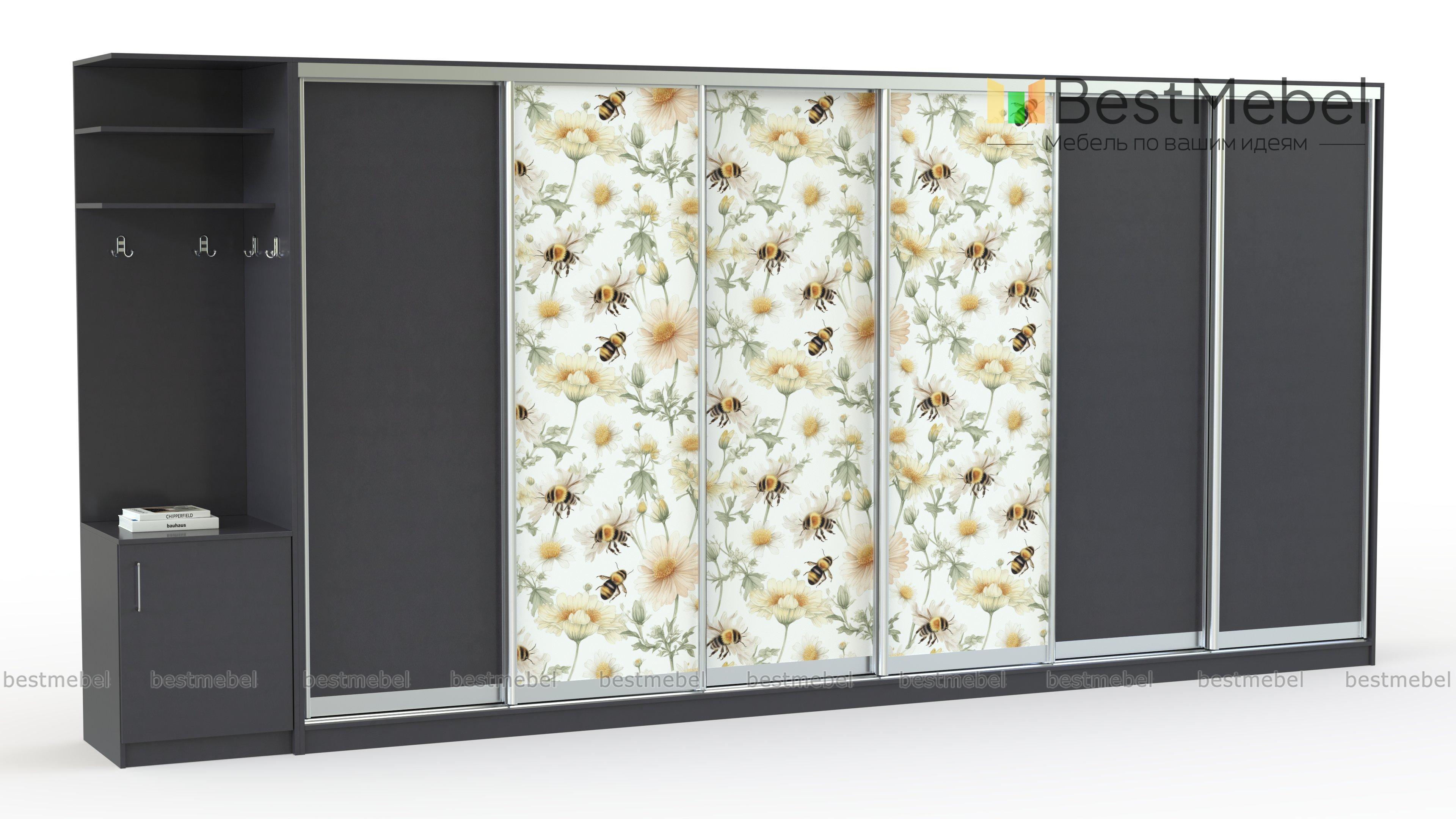 Шкаф-купе Природа 39 BMS - Фото