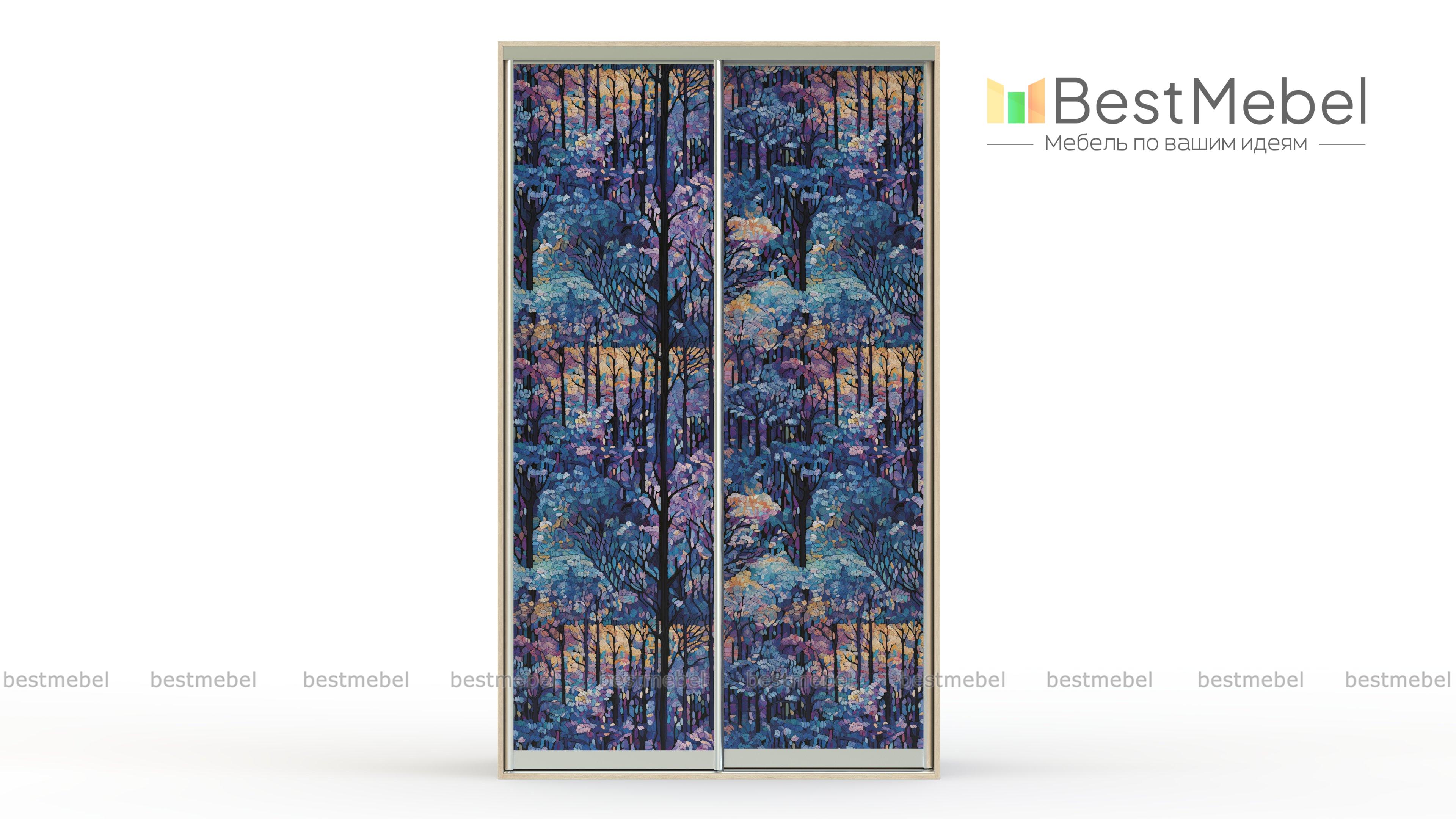 Шкаф-купе Венеция 2.1 BMS - Фото