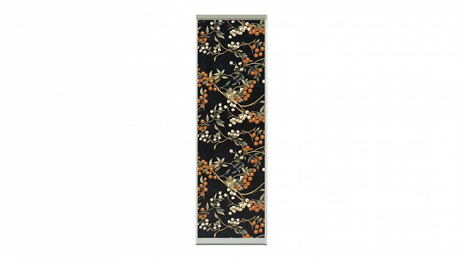 Двери-купе Осень 15 BMS - Фото