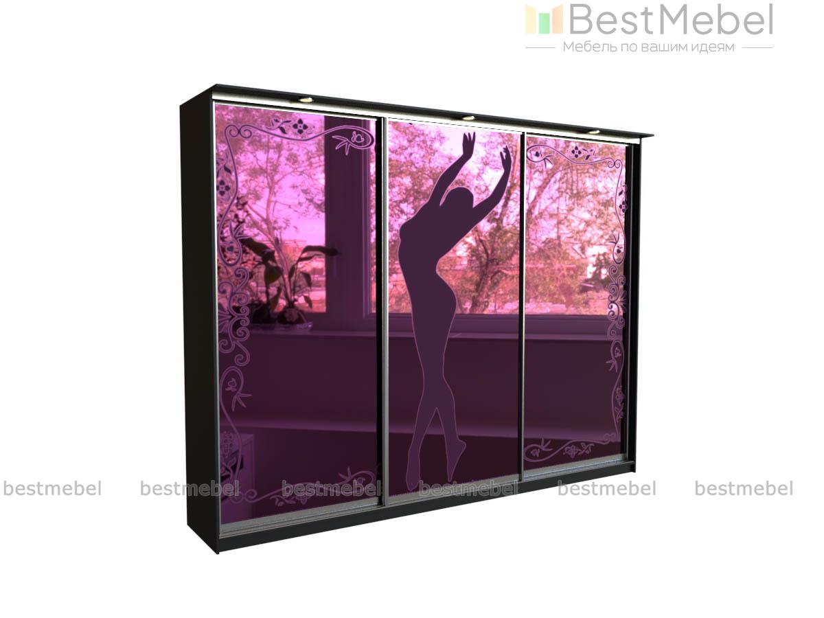 Шкаф-купе 4098 BMS - Фото