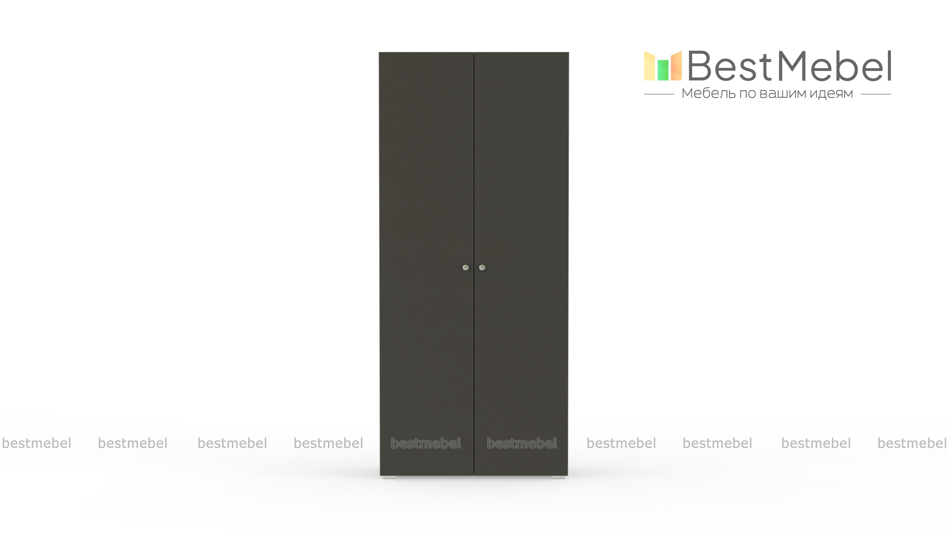 Шкаф распашной Класс 2-2 BMS - Фото