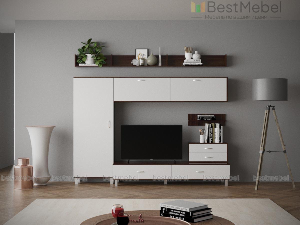 Гостиная Тиса-25 BMS - Фото