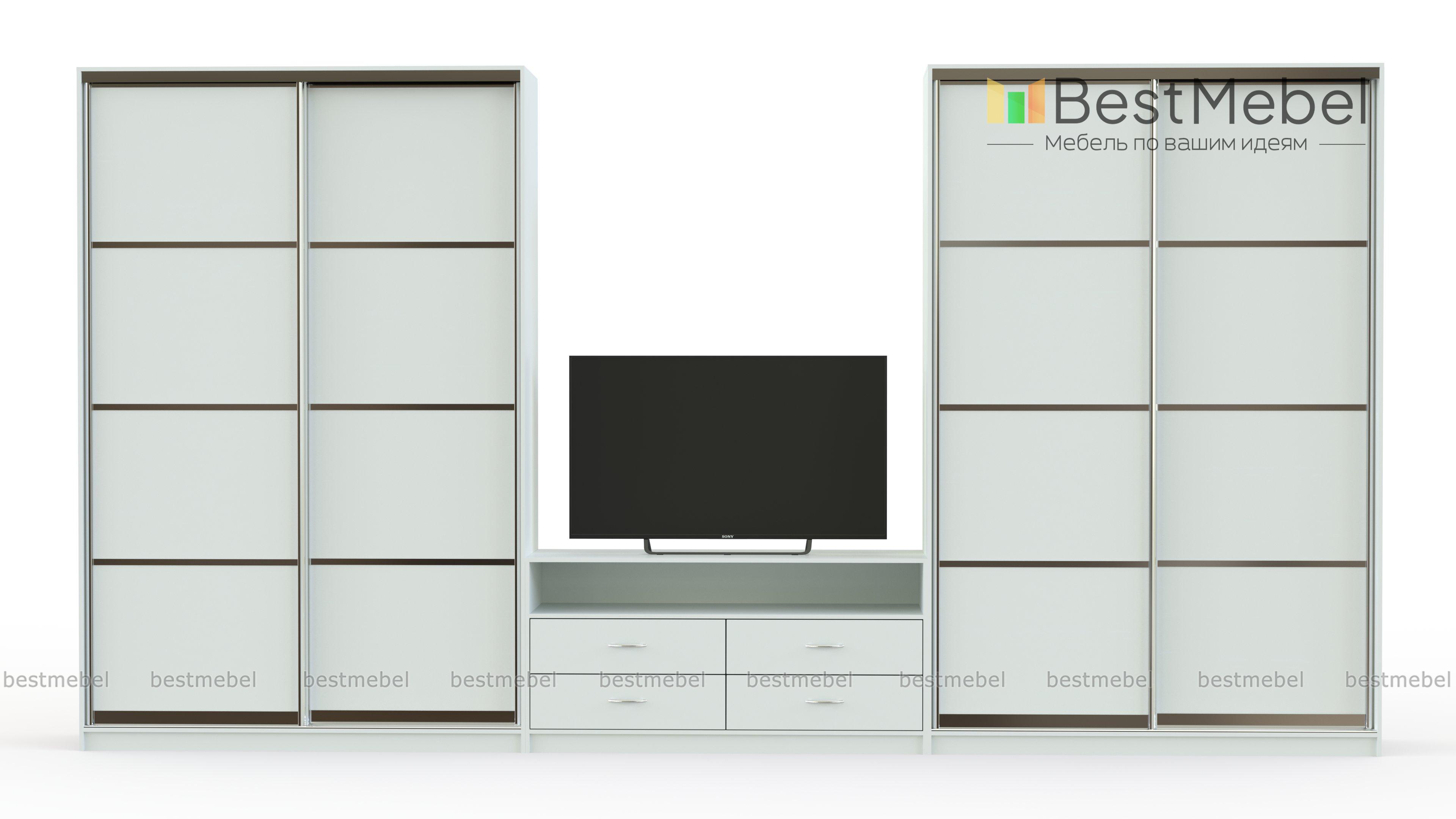 Шкаф-купе Найт 9 BMS - Фото